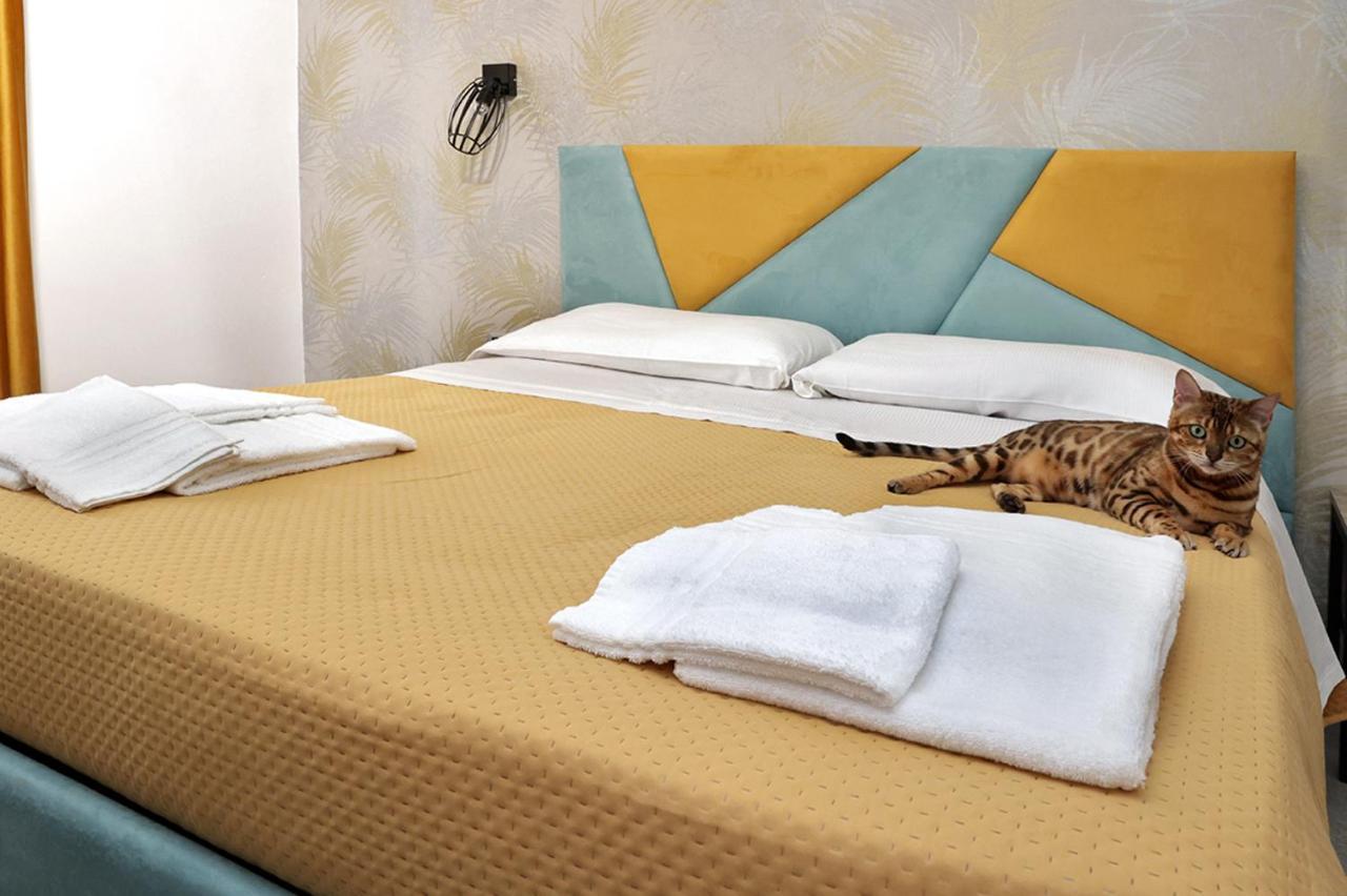 Toc Toc Bed & Breakfast ปอนเตกัญญาโน ภายนอก รูปภาพ