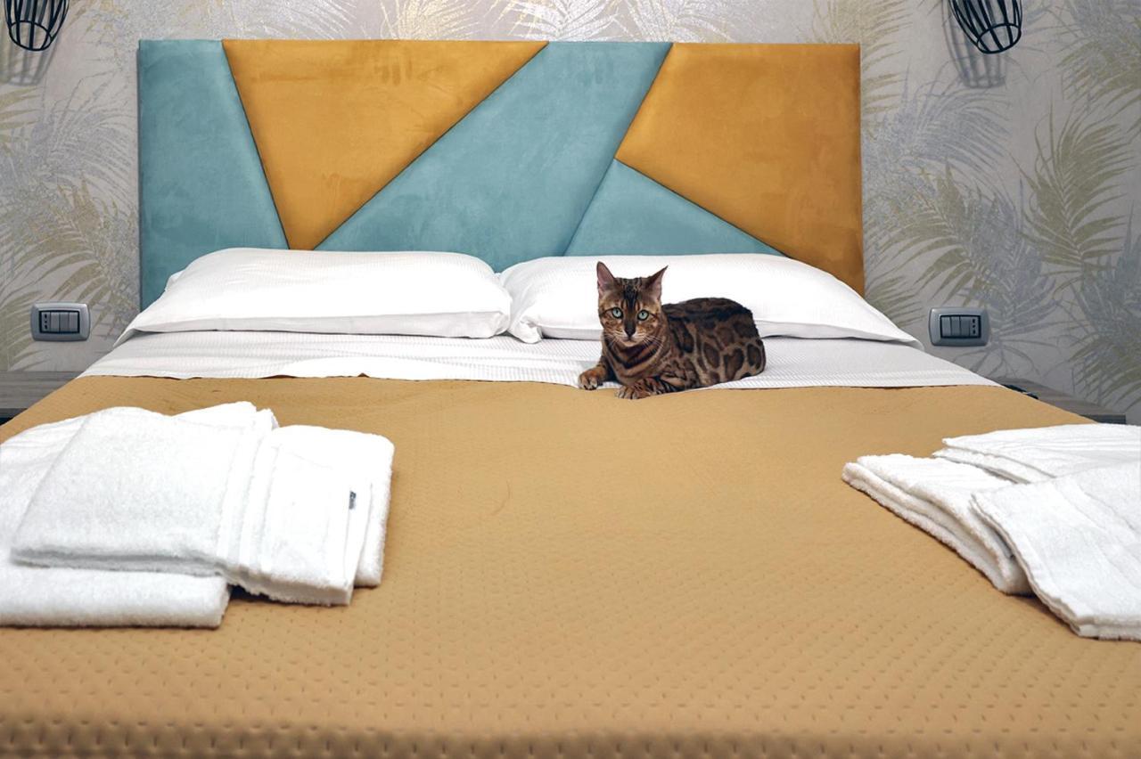 Toc Toc Bed & Breakfast ปอนเตกัญญาโน ภายนอก รูปภาพ
